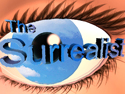 The iamge of an eye represents the animation "The surrealist"